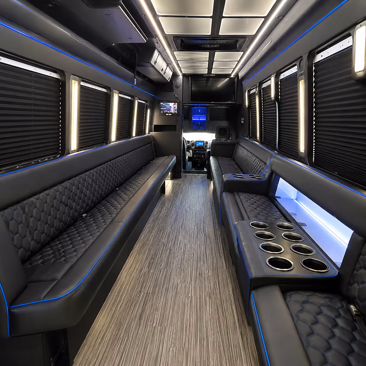 renton birthday party bus rental